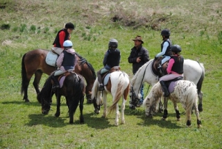  With the horses in the mountain pastures 